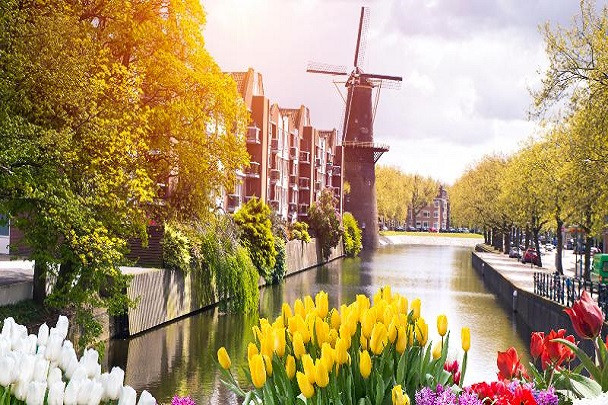Квітучий Амстердам