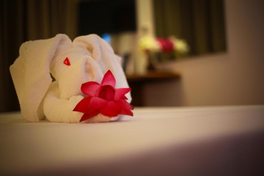 Отдых в отеле Arena Hotel Берувела Шри-Ланка