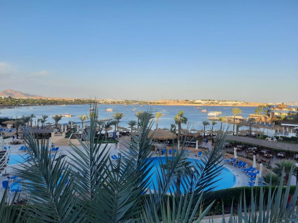 Фото готелю Marina Sharm Hotel