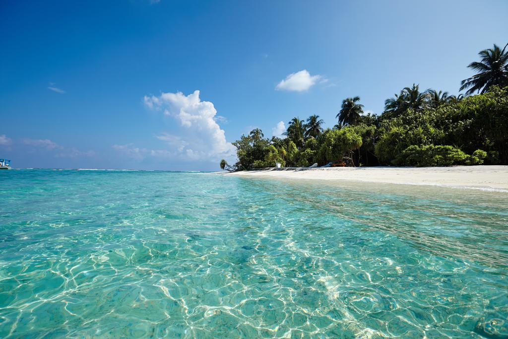 Recenzje hoteli Palm Beach Resort & Spa Maldives