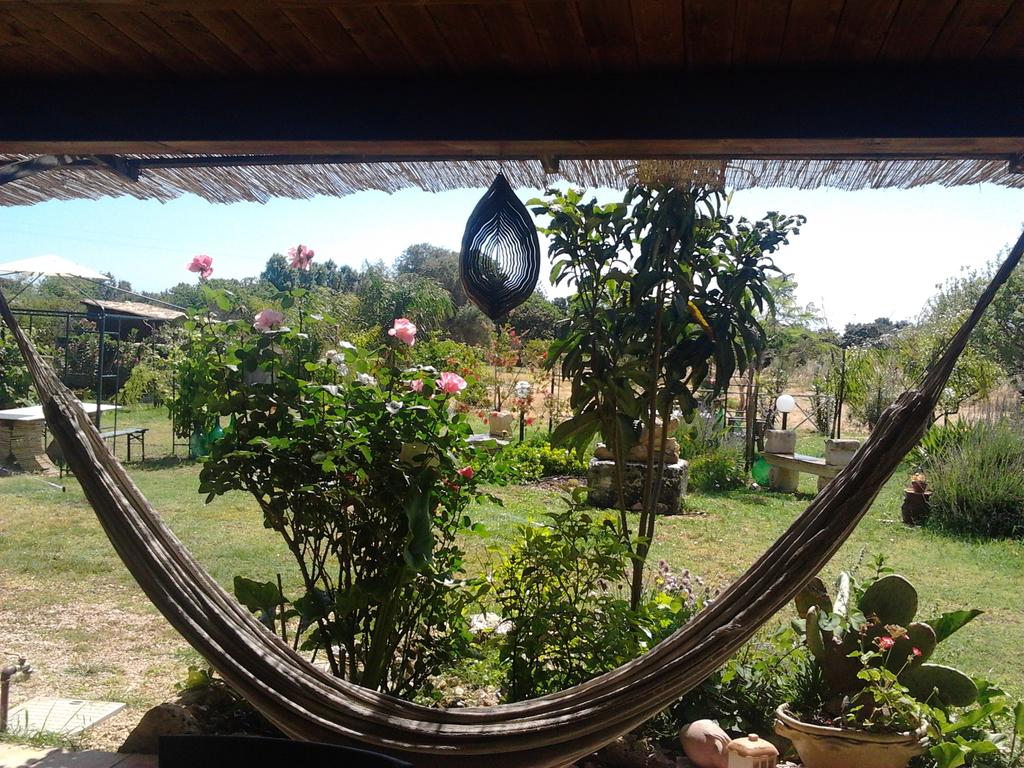 Agrib&B Lemontree Garden, Сицилия (остров), Италия, фотографии туров