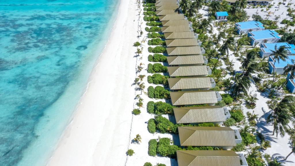 Отзывы туристов South Palm Resort Maldives