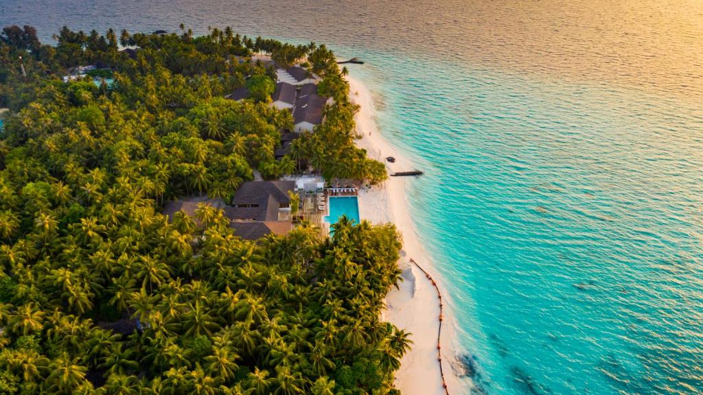 Fiyavalhu Maldives, Південний Арі Атол, Мальдіви, фотографії турів