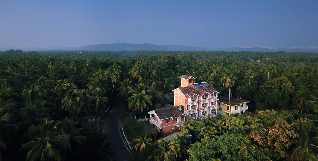 Wakacje hotelowe Treehouse Nova Arossim Indie