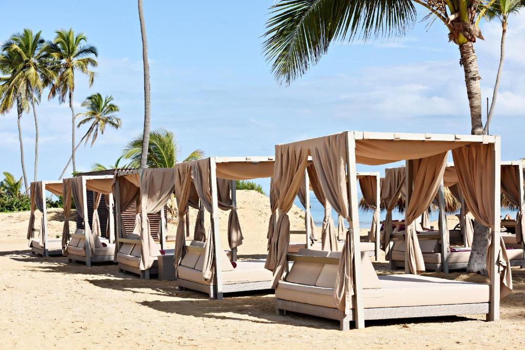 Royalton Chic Punta Cana, An Autograph Collection All-Inclusive Resort & Casino, Adults Only, развлечения