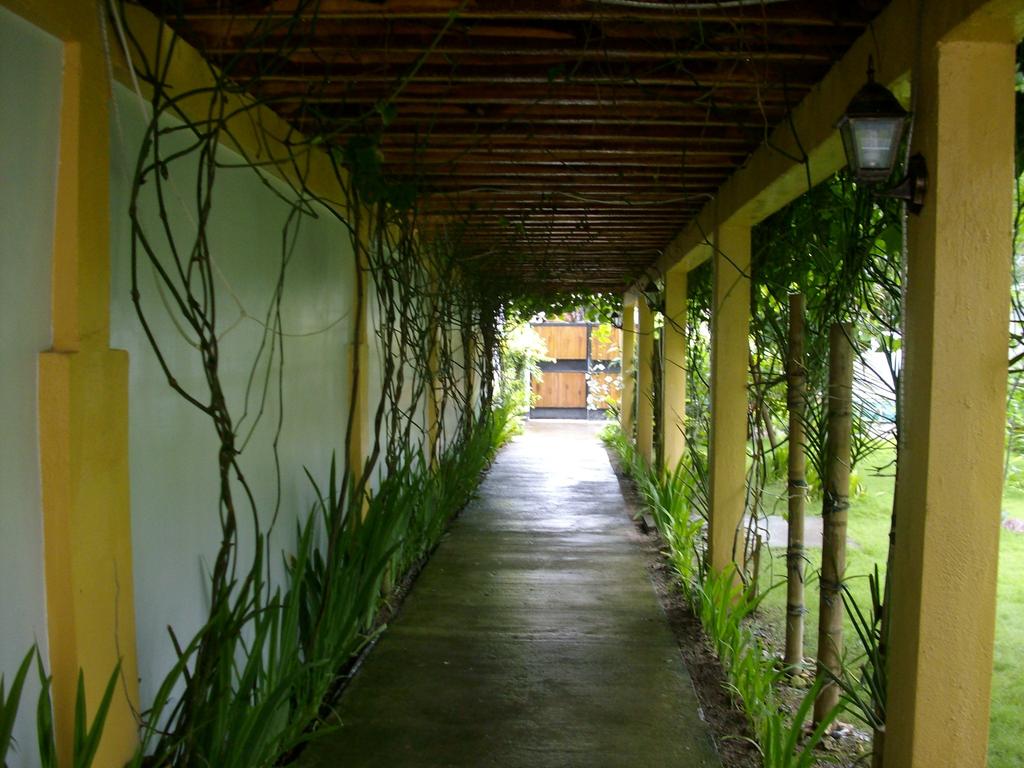 Greenyard Inn, Боракай (острів), фотографії турів