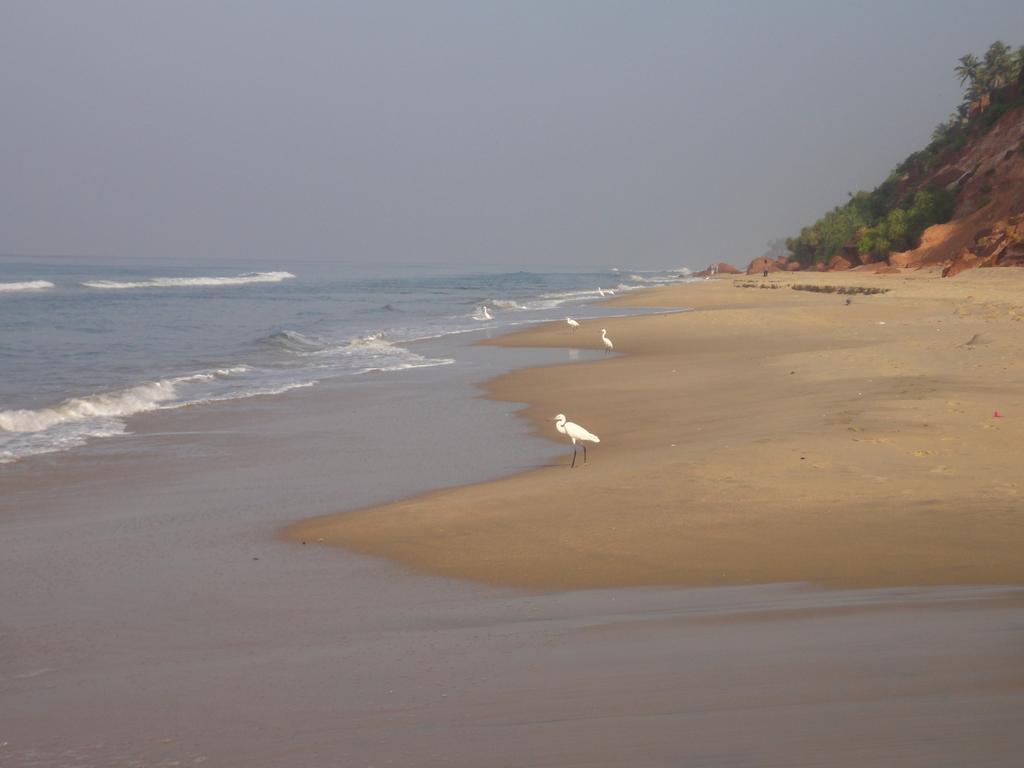 Oceano Cliff Ayurvedic Beach Retreat, Керала, Индия, фотографии туров