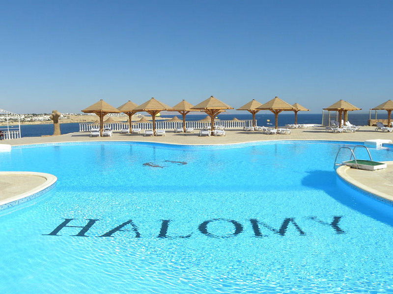 Grand Halomy Resort, Szarm el-Szejk, Egipt, zdjęcia z wakacje