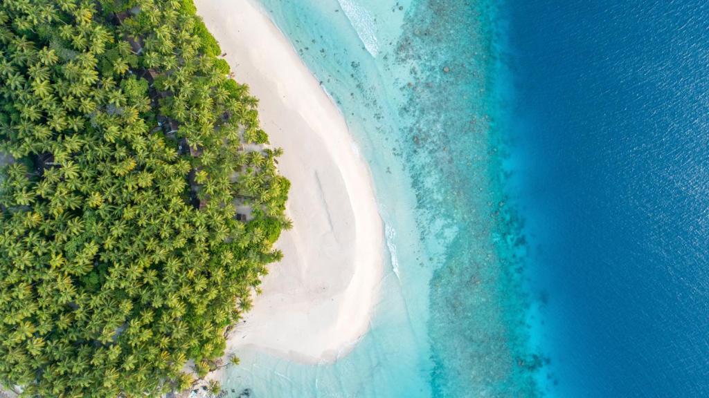 Yash Nature Resort, Мальдивы, Даалу Атолл, туры, фото и отзывы