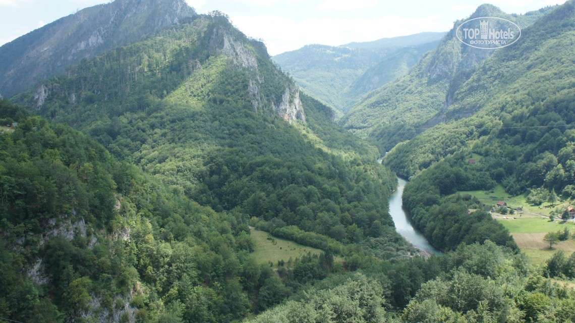 Mimoza, Черногория, Тиват, туры, фото и отзывы