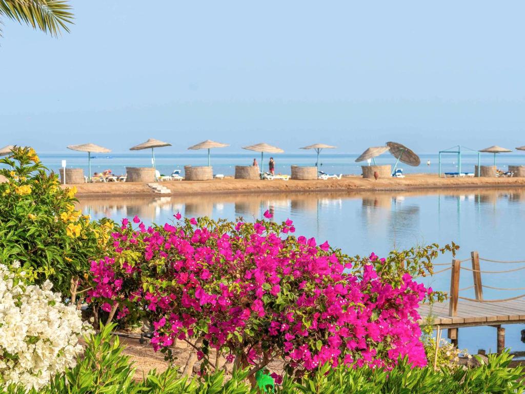 Movenpick Resort El Gouna Єгипет ціни