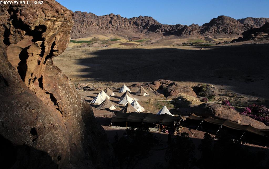 Отзывы туристов The Rock Camp Petra