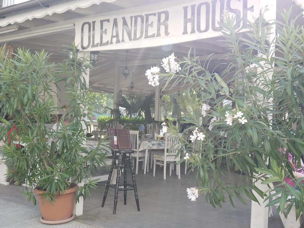 Отдых в отеле Oleander House Солнечный Берег Болгария