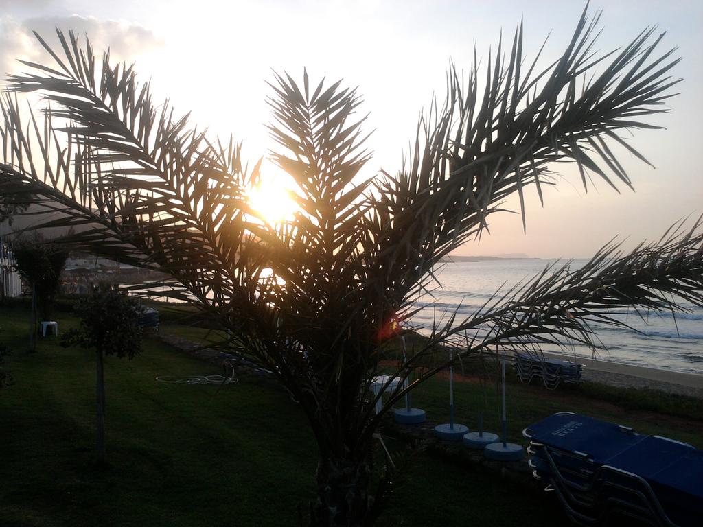 Гарячі тури в готель Ariadne Beach Hotel Іракліон Греція