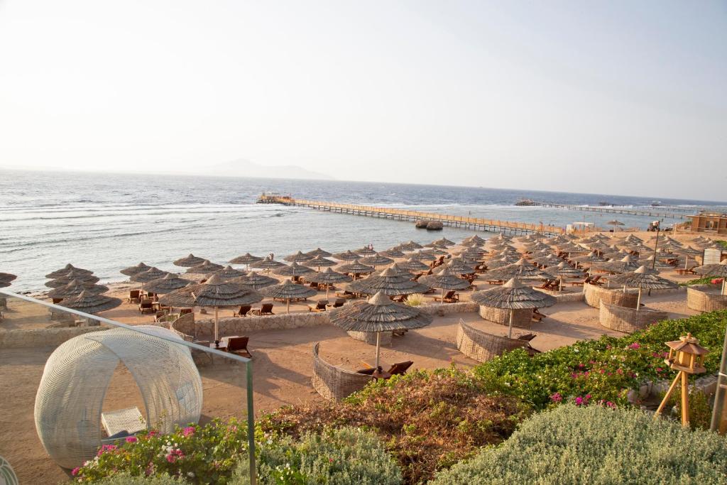 Cleopatra Luxury Resort Sharm El Sheikh Єгипет ціни