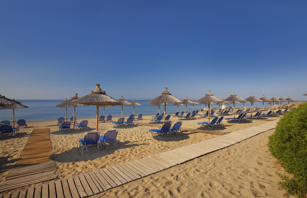 Hot tours in Hotel Blue Dolphin Hotel Sithonia