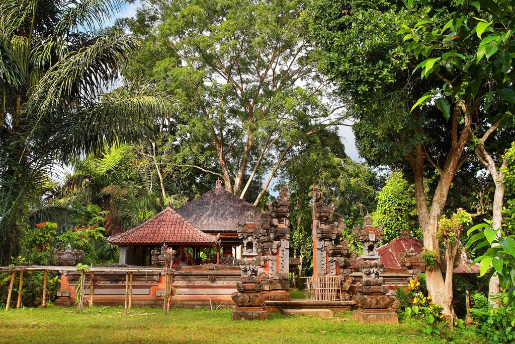 Фото отеля Nandini Bali Jungle & Spa Ubud
