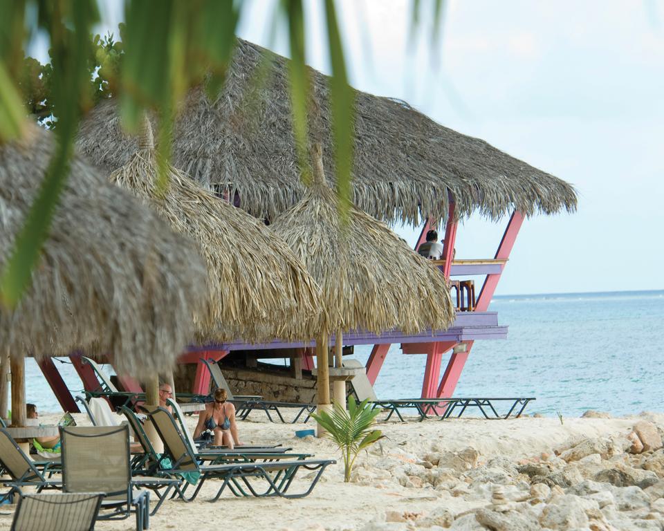 Divi Dutch Village Beach Resort Аруба цены