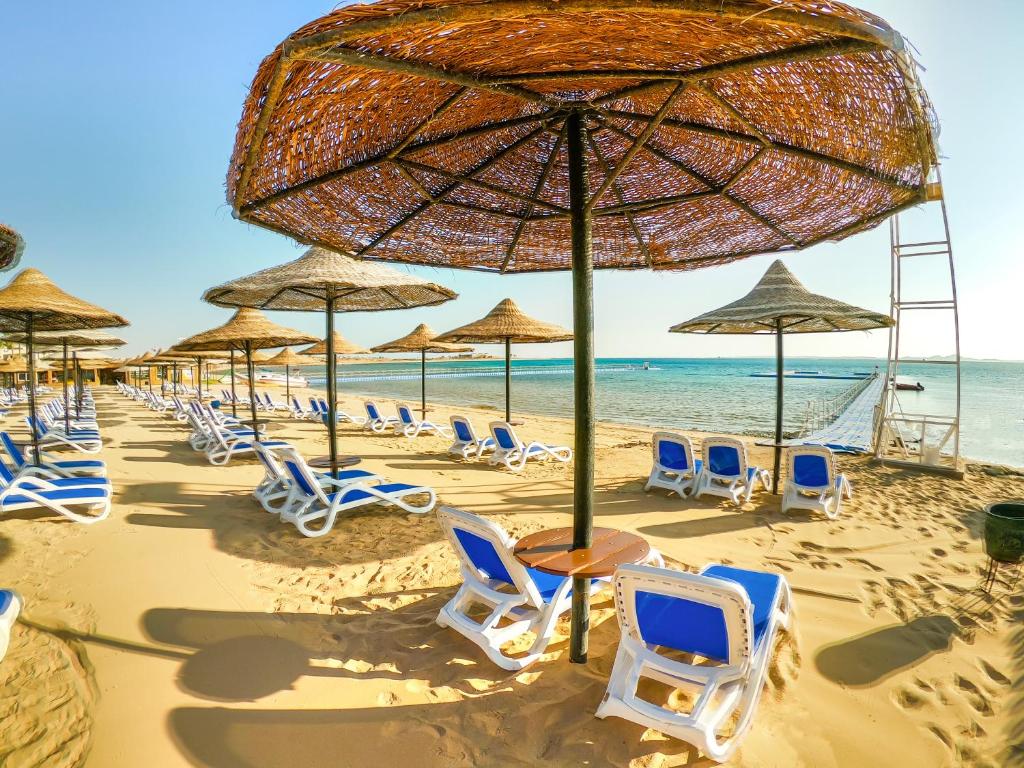 Ivy Cyrene Sharm Hotel (Adults Only 13+), Szarm el-Szejk, zdjęcia z wakacje