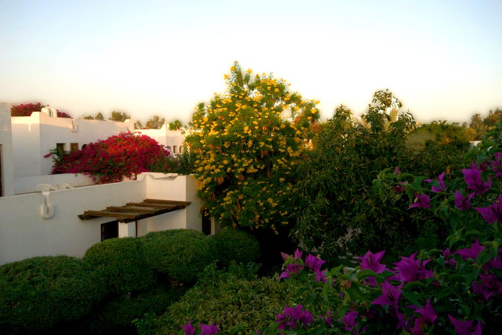 Hot tours in Hotel Mexicana Sharm Sharm el-Sheikh Egypt