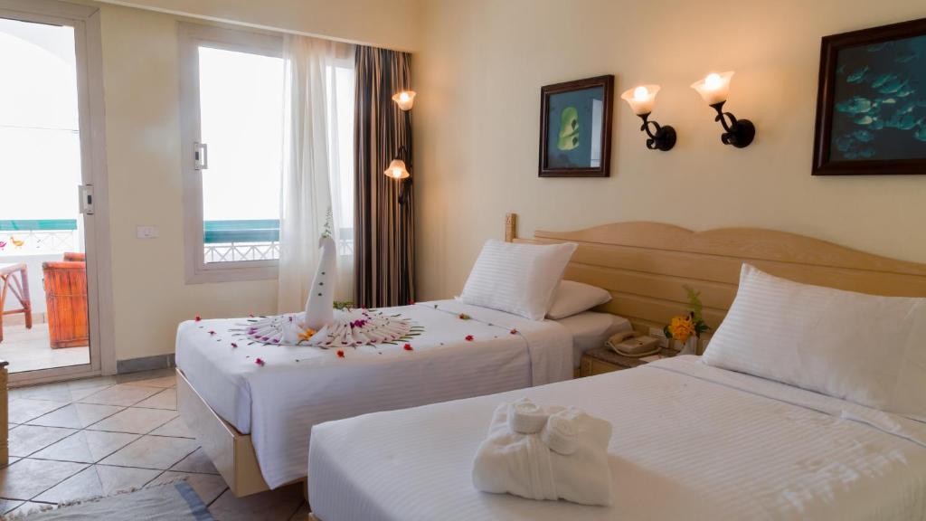 Ціни в готелі Coral Beach Resort Tiran