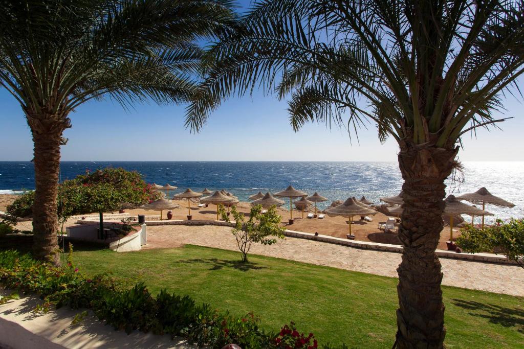 Отзывы об отеле Sharm Club Beach Resort (ex. Labranda Tower Sharm)