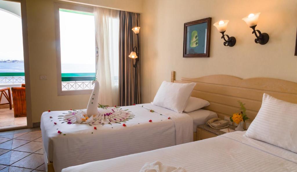 Відпочинок в готелі Coral Beach Resort Tiran