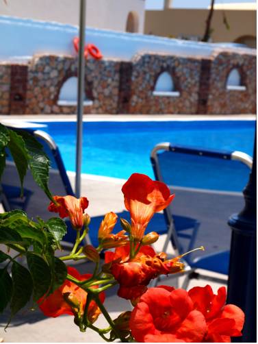 Отдых в отеле Albatros Hotel Santorini Санторини (остров) Греция