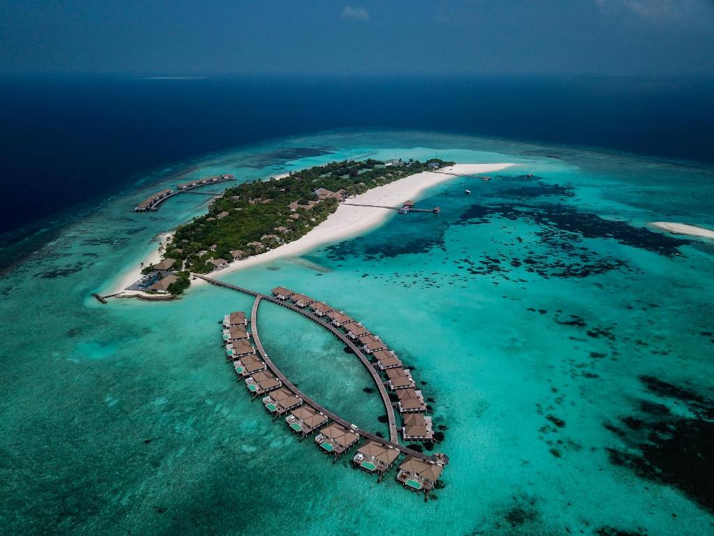 Цены в отеле Noku Maldives (ex. Roxy Maldives)