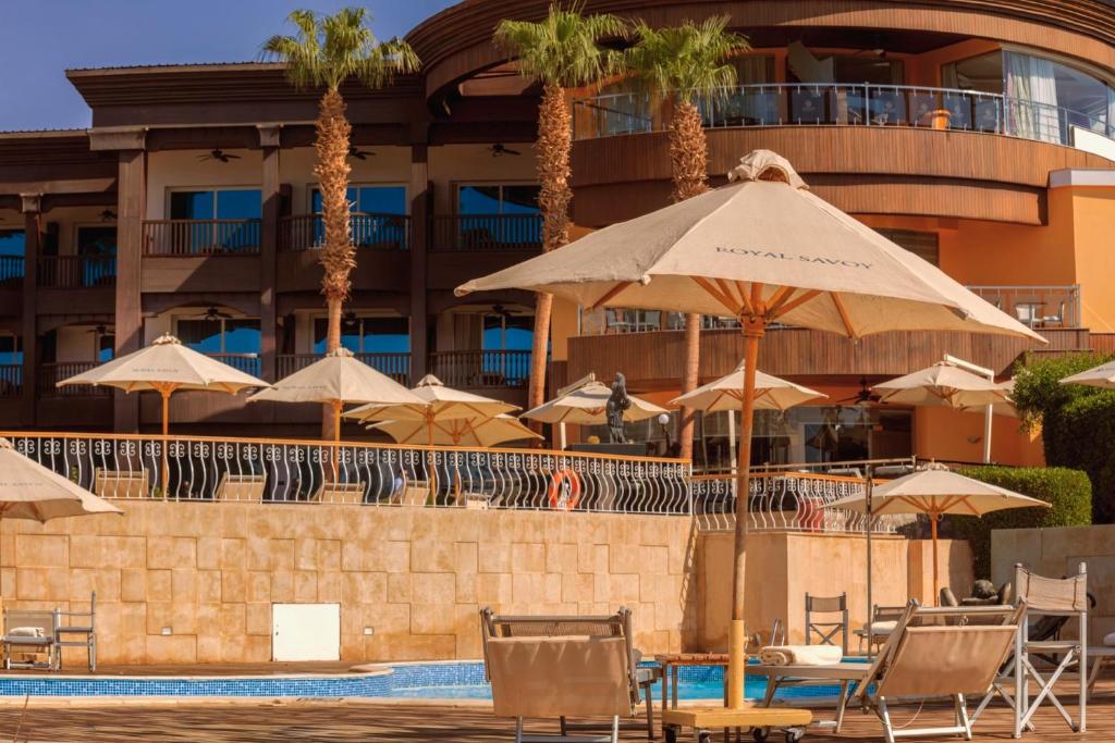 Royal Savoy (Adults Only 12+), Egypt, Sharm el-Sheikh, tours, photos and reviews