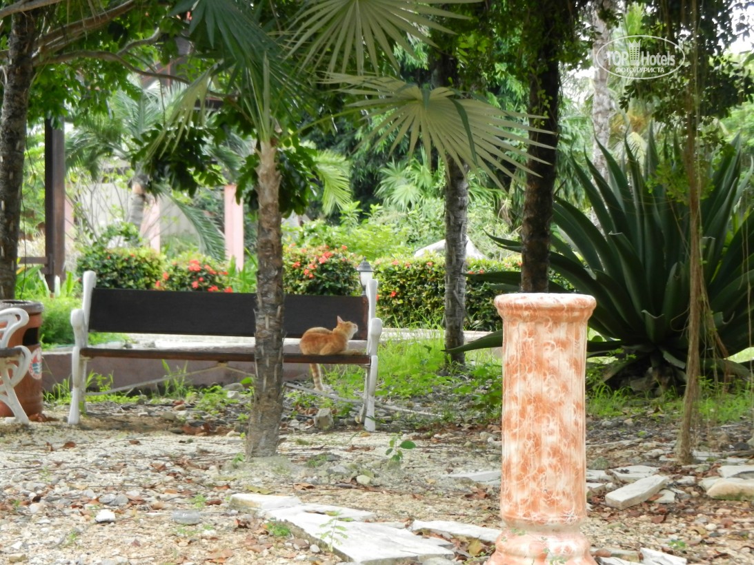 Sol Cayo Santa Maria, Кайо-Санта-Марія, Куба, фотографії турів