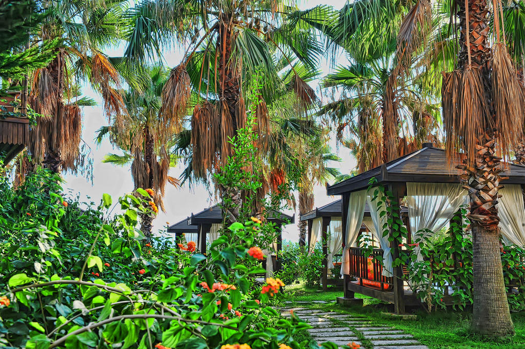 Фото готелю Mukarnas Spa Resort