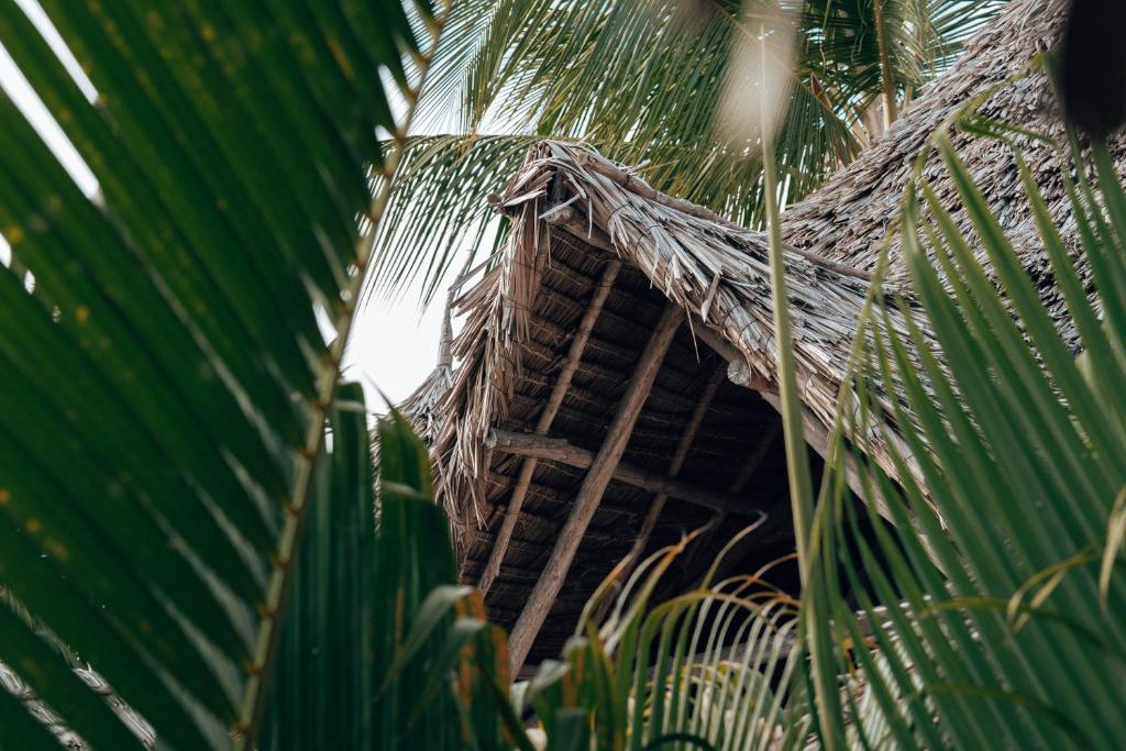 Відгуки про відпочинок у готелі, Sahari Zanzibar