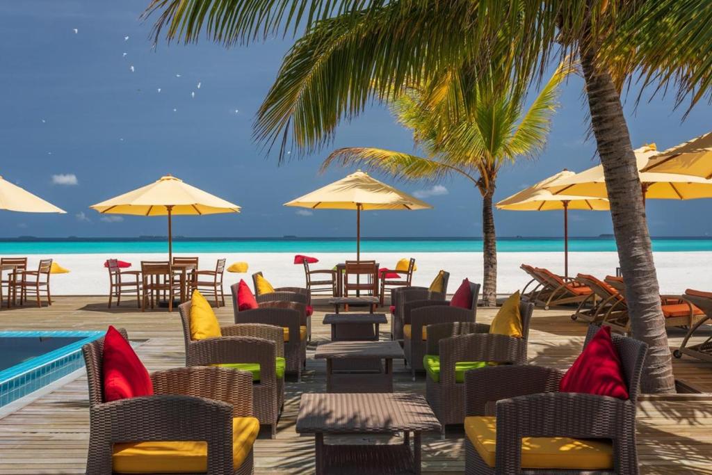 Dhigufaru Island Resort Мальдивы цены