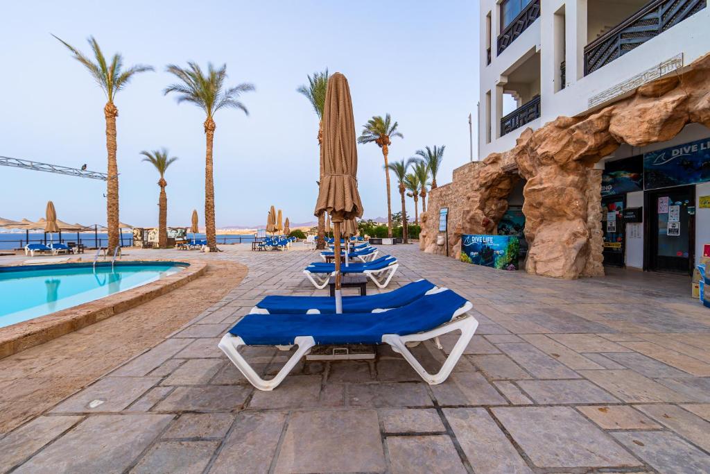 Sharm Plaza (ex. Crowne Plaza Resort) photos and reviews