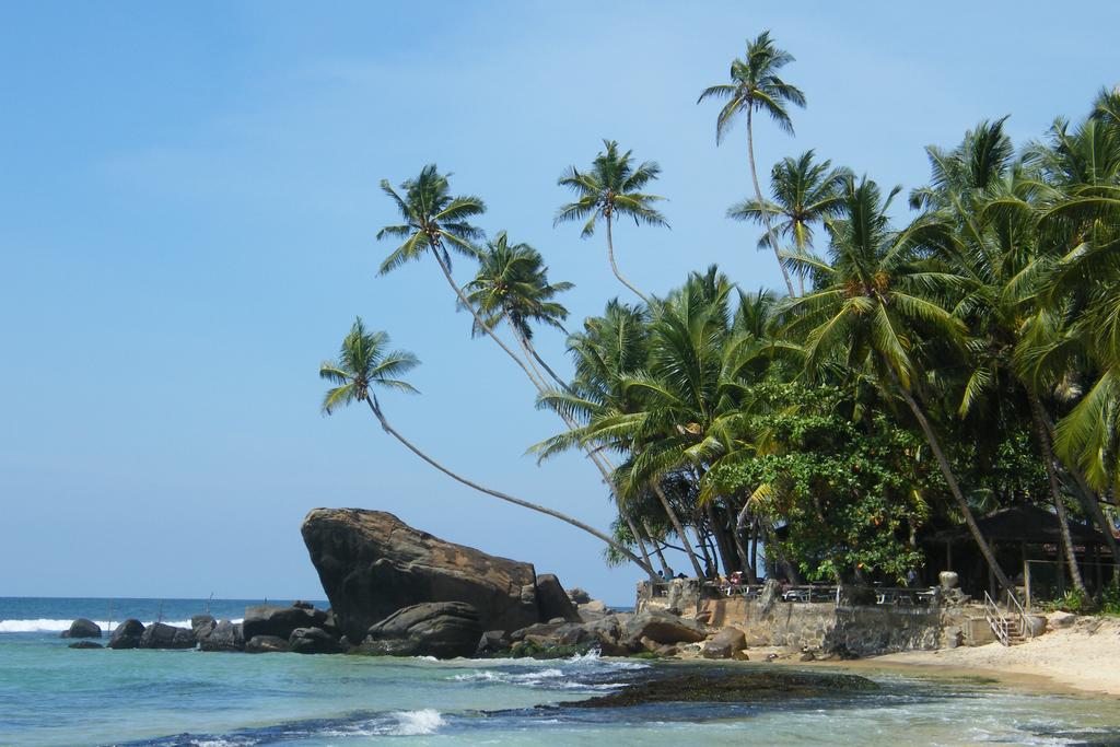 Горящие туры в отель Sri Gemunu Beach Resort Унаватуна Шри-Ланка