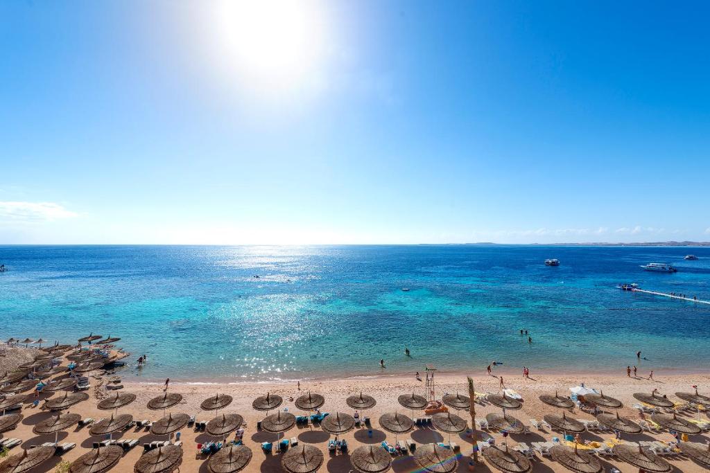 Hotel, Egypt, Sharm el-Sheikh, Reef Oasis Beach Resort
