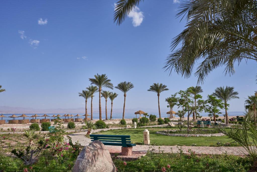 Bay View Resort Taba Heights (Ex.Marriott Heights), Таба, Єгипет, фотографії турів