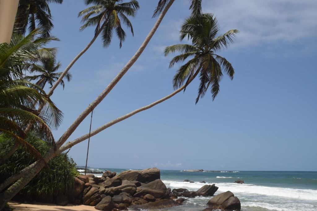 Sri Lanka Hotel J Ambalangoda (ex. Juce Ambalangoda, Dream Beach Resort)
