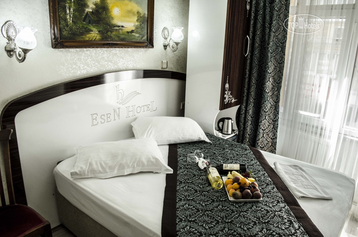 Туры в отель Grand Esen Hotel (ex. Esen Hotel) Стамбул Турция