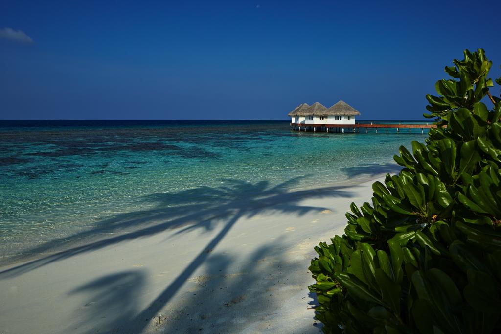 Тури в готель Loama Resort Maldives at Maamigili Раа Атол Мальдіви