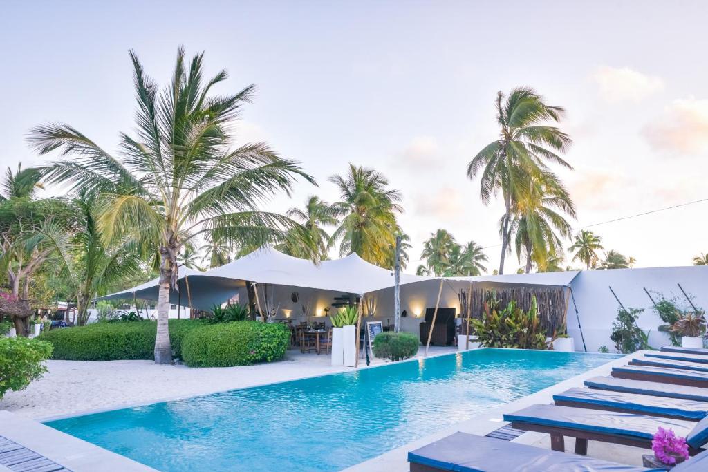 Отель, Бведжуу, Танзания, Indigo Beach Zanzibar
