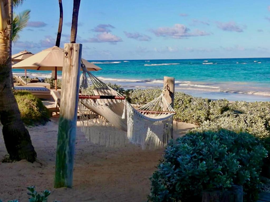 Hot tours in Hotel Vik Hotel Cayena Beach Punta Cana
