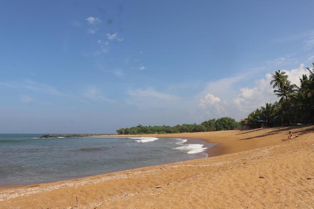 Oreo Beach Hotel, Калутара, Шри-Ланка, фотографии туров