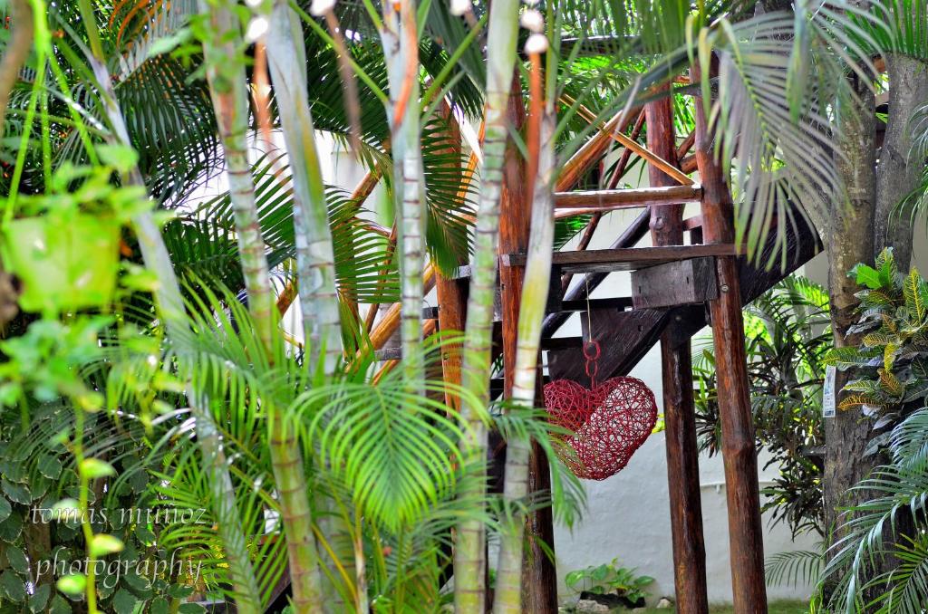 Горящие туры в отель Pacha Tulum Ривьера-Майа