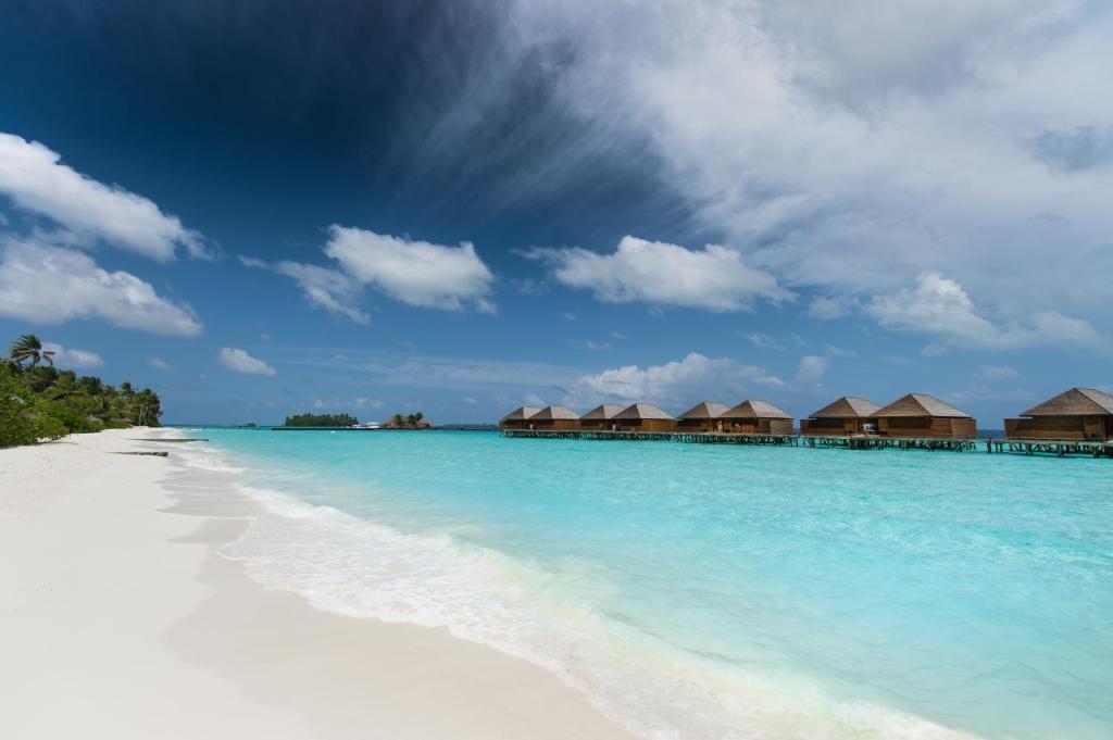 Veligandu Island Resort Мальдивы цены