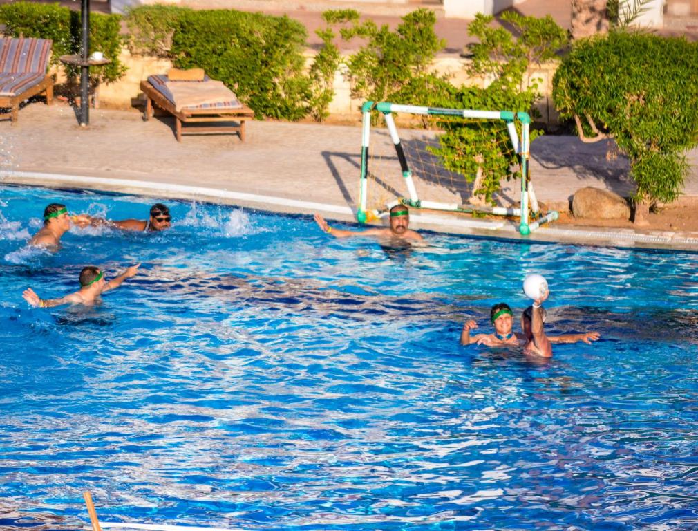 Відпочинок в готелі Dive Inn  Resort Шарм-ель-Шейх Єгипет