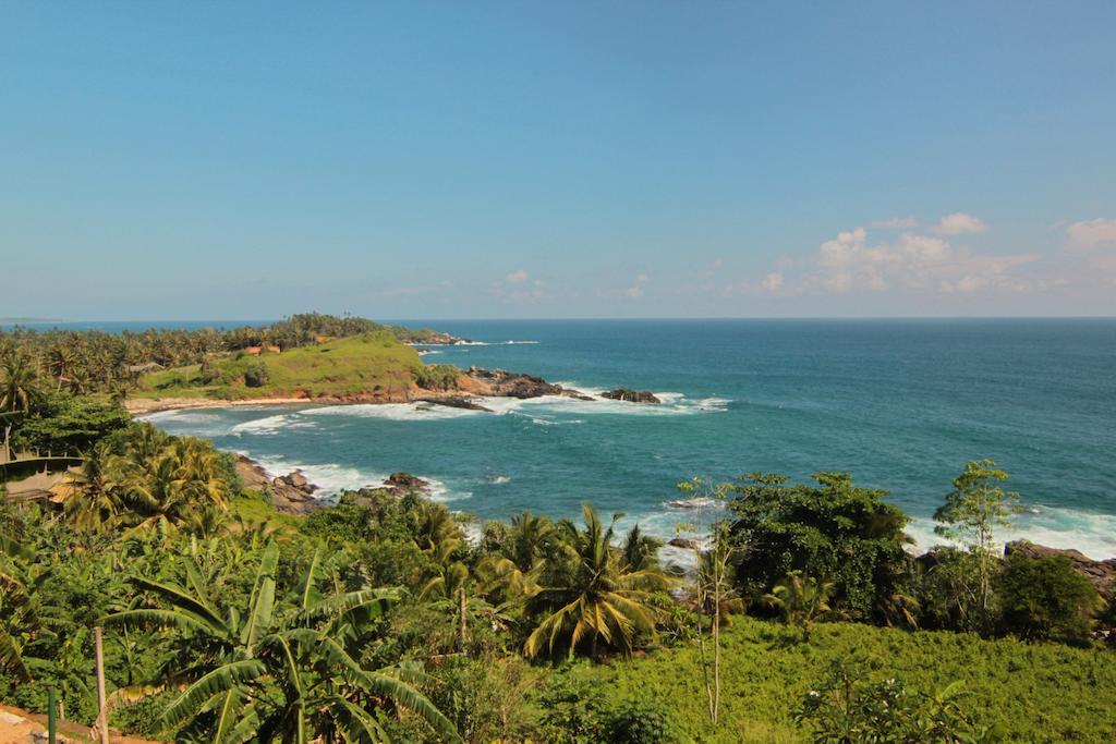 Panorama Talalla Beach, Шри-Ланка, Матара, туры, фото и отзывы
