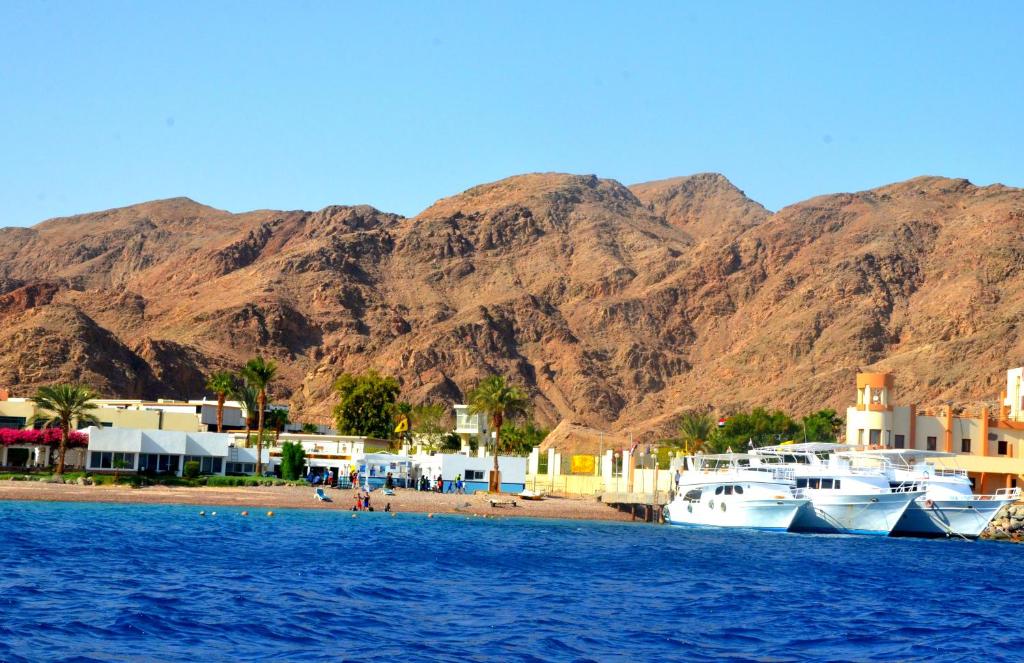 Reviews of tourists Taba Hotel & Nelson Village (ex. Hilton Taba)