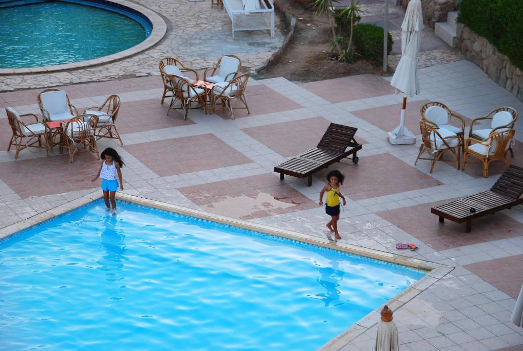 Logaina Sharm Resort, Египет, Шарм-эль-Шейх